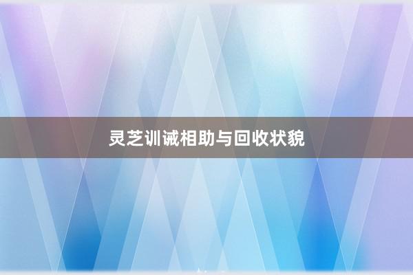 灵芝训诫相助与回收状貌
