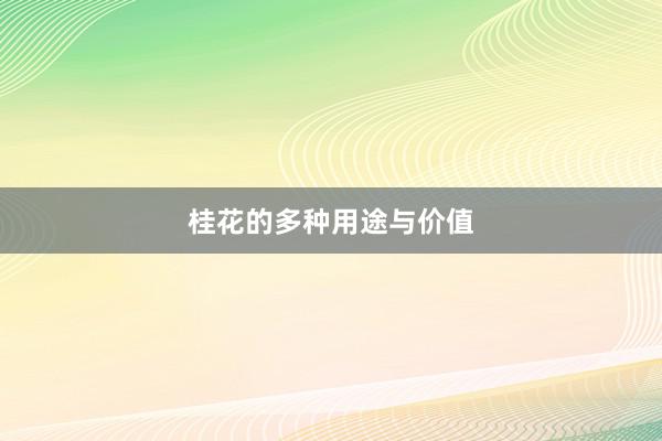 桂花的多种用途与价值